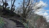Trail Walking Dinant - Dinant - Anseremme - Photo 19