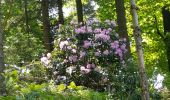 Tocht Stappen Unknown - Baden Baden - châteaux Hohenbaden et Eberstein - coliine Merkurberg - Photo 17