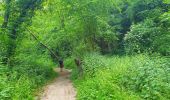 Tocht Stappen Gerpinnes - Balade dans le bois de Loverval - Photo 11