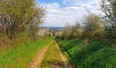 Trail Walking Beauraing - Balade à Wancennes - Beauraing - Photo 2