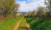 Tocht Stappen Beauraing - Balade à Wancennes - Beauraing - Photo 2