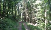 Tour Wandern Sentheim - Sentheim Schirm - Photo 12