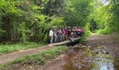 Trail Walking Sainte-Ode - Lavacherie - Photo 14