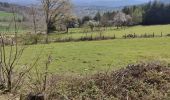 Tour Wandern Pélussin - Randonnée du tacot à Pelussin  - Photo 14