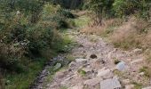 Tour Wandern Laval-en-Belledonne - PETITE RANDONNEE AU DEPART DU PONT DE LA BETTA  - Photo 16