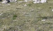 Trail Walking Névache - Nevache font couverte cols : Buffet et roches noires - Photo 8