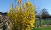 Trail Walking Saint-Pierre-des-Fleurs - 20220308-St Pierre des Fleurs - Photo 11