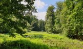 Tocht Stappen Ukkel - 2020-07-09 - Banc d'essai pour enregistrer un circuit dans la forêt de Soignes sur EasyJet Trail  20 jm - Photo 17