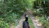 Tocht Stappen Neufchâteau - Challenge marches chestrolaises Grandvoir 2020 - Photo 6