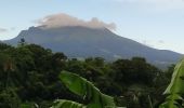 Excursión Senderismo Le Lorrain - Mornes Capot / Lorrain Martinique - Photo 11