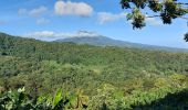 Trail Walking Le Lorrain - Boucle Vallon - Moreau - Carabin - Chemin Etoile - Photo 10