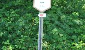 Trail Walking Assesse - Sart Bernard 010725 - Photo 4