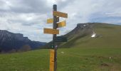 Trail Walking Tréminis - Treminis :  Montagne de Paille, col de la Croix. - Photo 10