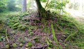 Tour Zu Fuß Mudau - Rundwanderweg Reisenbacher Grund 2 - Photo 2