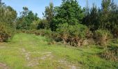 Trail Walking Rion-des-Landes - Perrin, Lamandit, trapot, mineur, nabout, pichegru, tourlères -  8.3 - Photo 2