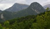 Randonnée Marche Castellane - Clot d'Aremus - Chasteuil - Chapelle St Jean - Castellane - Photo 4