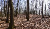 Trail On foot Lüdinghausen - Heimingshof Rundweg A2 - Photo 8