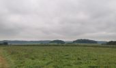 Tocht Stappen Florenville - Orval-Auflance-Villers-Orval 13km - Photo 5