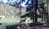 Trail Walking Le Valtin - Lac Vert - Lac du Forlet - Gazon du Faing - Photo 20