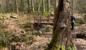 Randonnée Marche Spa - Source de la geronster  - Photo 3
