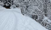 Trail Snowshoes Le Grand-Bornand - Le Balcon des Aravis - Photo 3