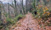 Randonnée Marche Pignans - Sainte Marie des Anges 15,8 km - Photo 15