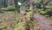 Trail Walking Linthal - rdpr linthal 2019 - Photo 4