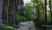 Tour Wandern Seyssinet-Pariset - Désert Jean Jacques Rousseau - Photo 1