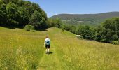 Tocht Stappen Labaroche - Autour du château du Petit Hohnack - Photo 19