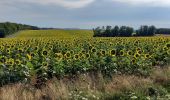 Tocht Elektrische fiets Saint-Clément - sortie vtt 23072023 deneuvre  - Photo 7