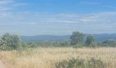 Excursión Senderismo Homps - CC_Piemont_AD_04_Homps_St-Frichoux_20240614 - Photo 4