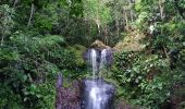 Trail Walking Sainte-Rose - Le Saut des Trois Cornes - Photo 4