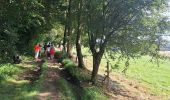 Trail Walking Clavier - Marche gourmande Rotary de Durbuy - Photo 8