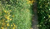 Trail Walking Saint-Laurent-d'Agny - 69-CHAPELLE_VINCENT_20km555m - Photo 8