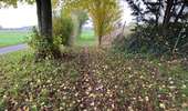 Trail Walking Brunehaut - Hollain 16,2 km - Photo 1