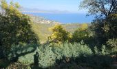 Percorso Marcia Roquebrune-sur-Argens - 14/02/24 M et C  Gaillarde - Photo 1
