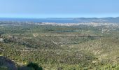 Trail Walking Fréjus - Le Vinaigre depuis le pont de la Bécasse  - Photo 4