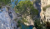 Trail Walking Cassis - 6 fait 2022 Cassis Cal. Port Miou - En-Vau - de l'Oule - Photo 2