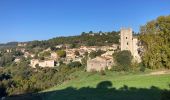 Trail Walking Esparron-de-Verdon - Autour d esparon - Photo 15