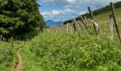 Tour Wandern Orcival - Lac de Servières à partir du Café du Lac - Photo 1