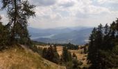 Randonnée Marche Chorges - au dessus de Chorges : Naume Raze . les Drayes . parking des Gardes . Forest Barthiers . Naume Raze - Photo 6