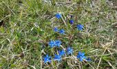 Trail Walking Hautes-Duyes - AURIBEAU , col dAinac , Ainac , col S Antoine , pointe d Aiguille , pas de Gueruen n - Photo 15