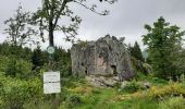 Randonnée Marche La Bresse - la bresse 20240617 - Photo 4