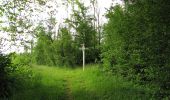 Tour Wandern Rethondes - en forêt de Laigue_4_08_2019_Mont du Fouilleux_Mont des Singes_Marais de Francière - Photo 17