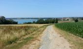 Trail Walking Saint-Suliac - Saint-Suliac - 13.1km 230m 3h25 - 2017 06 21 - Photo 13