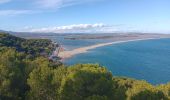 Randonnée Marche Leucate - leucate - cap des frères (sentier des bergers) -la franqui (sentier des guetteurs) - leucate (se tier des vignerons) - Photo 11