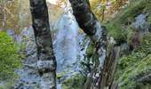 Percorso Marcia Mont-Dore - Randonnée des cascades : la grande Cascades - Queureuilh - le Rossignol et - le saut du Loup-  - Photo 9