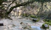 Trail Walking Lussan - Les conclusse depuis Pradeilles - Photo 6