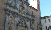 Excursión Senderismo Villalcázar de Sirga - Calzadilla de la Cueza - Photo 4