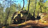 Tour Wandern Noisy-sur-École - Boucle 24 km Fontainebleau Arbonne - Photo 2